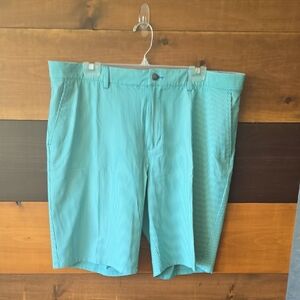 adidas Men's Teal Striped Flat Front Shorts